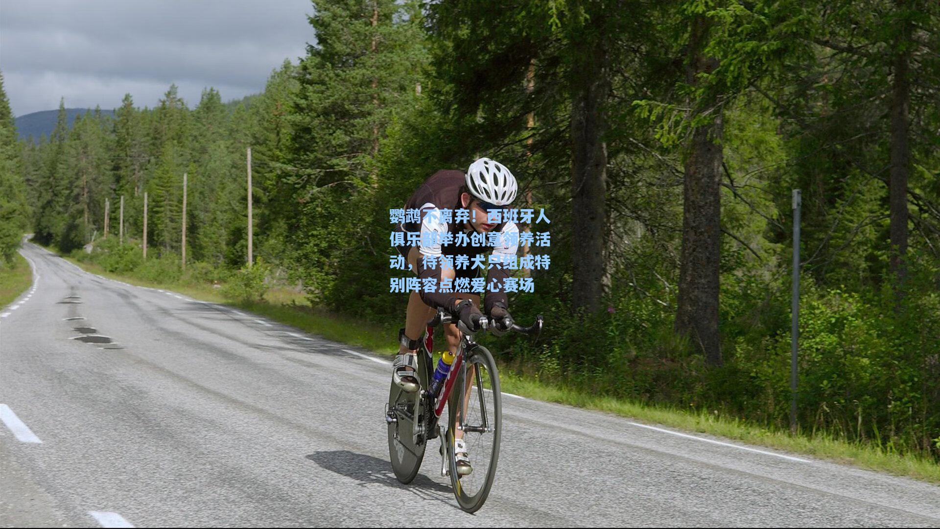 鹦鹉不离弃！西班牙人俱乐部举办创意领养活动，待领养犬只组成特别阵容点燃爱心赛场