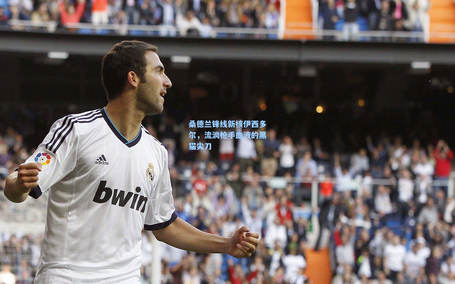 桑德兰锋线新核伊西多尔，流淌枪手血液的黑猫尖刀