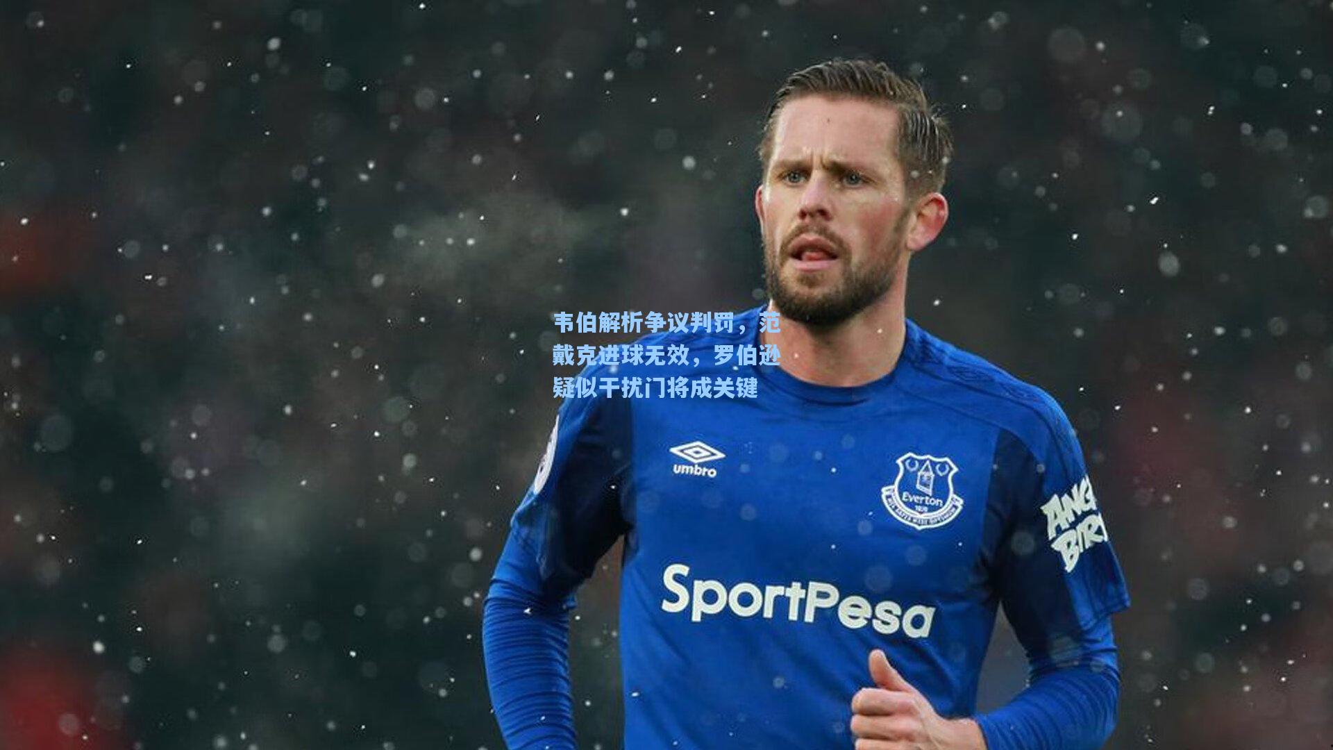 韦伯解析争议判罚,范戴克进球无效,罗伯逊疑似干扰门将成关键